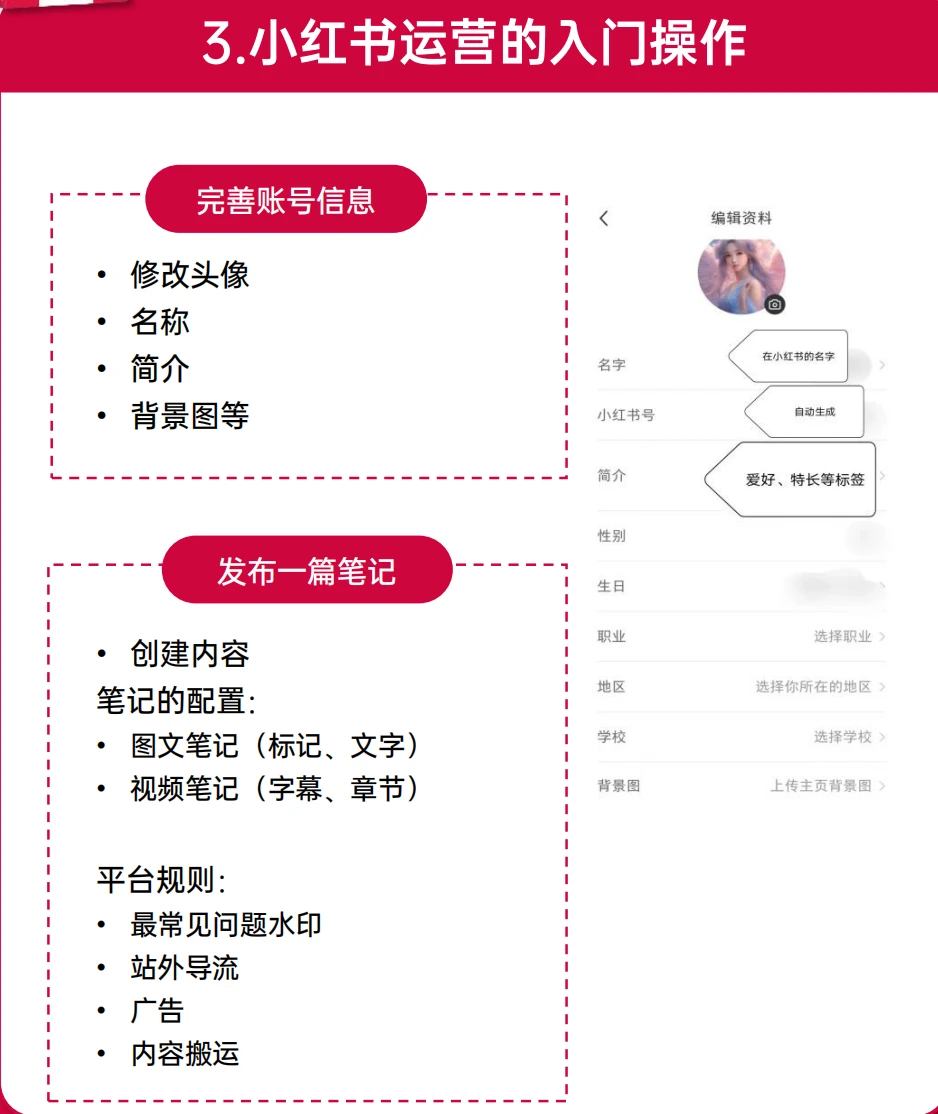 0基础小红书运营指南 读书笔记65页PDF