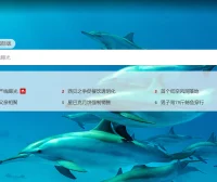 必应搜索红包活动2025全攻略：轻松领取现金奖励与福利